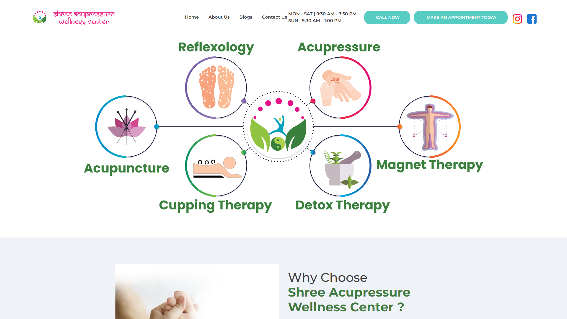 Shree Acupressure website image